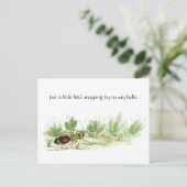 Carte postale d'un petit insecte (Debout devant)