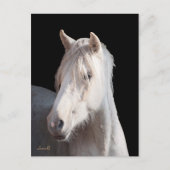 Carte postale Dunalino American Bashkir Curly (Devant)