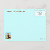 Carte Postale Duncan The Highland Bull (Dos)