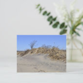 Carte postale Dune de sable (Debout devant)