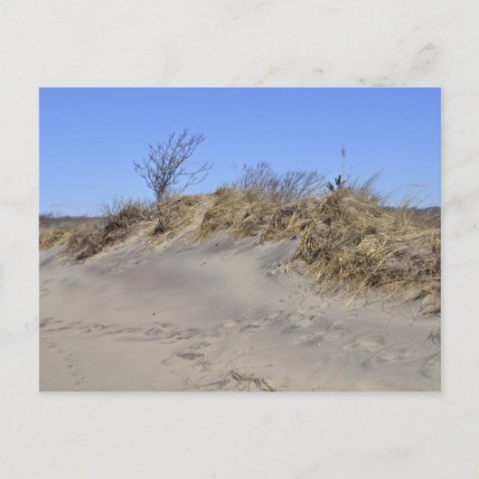 Carte postale Dune de sable (Devant)