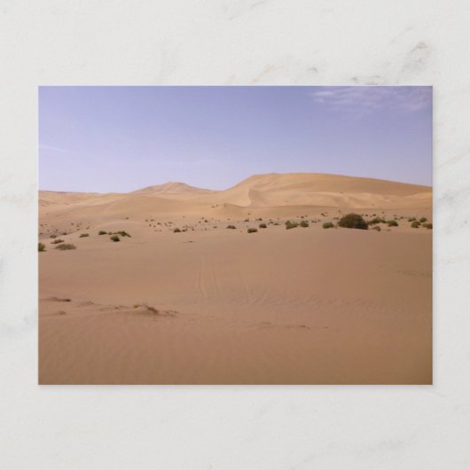 Carte Postale Dune de sable de Gobi (Devant)