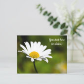 Carte postale d'une marguerite unique (Debout devant)
