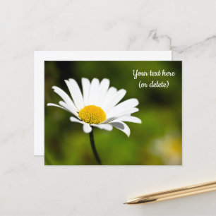 Carte postale d'une marguerite unique