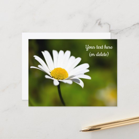 Carte postale d'une marguerite unique (Devant/Arrière en situation)