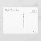 Carte postale d'une paire de pics pilés (Dos)