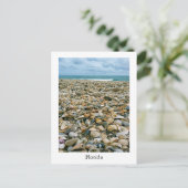 Carte postale d'une plage de Floride, USA avec des (Debout devant)