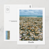 Carte postale d'une plage de Floride, USA avec des (Devant / Derrière)