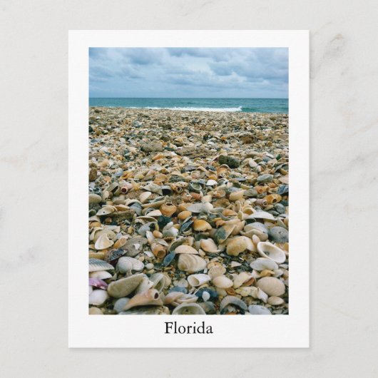 Carte postale d'une plage de Floride, USA avec des (Devant)