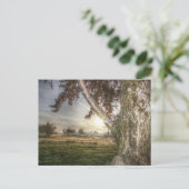 Carte postale d'une poupée léopard dans un arbre (Debout devant)