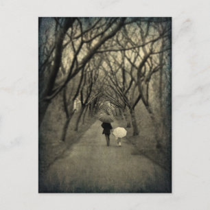 Carte postale d'une promenade dans le parc