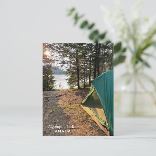Carte postale d'une tente dans le parc Algonquin (Debout devant)