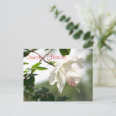 Carte Postale Dunedin, Floride (Debout devant)