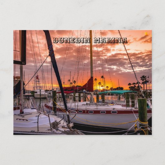 Carte Postale Dunedin Marina Sunset Floride (Devant)