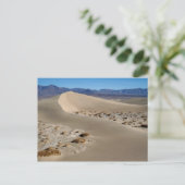 Carte Postale Dunes 1 de Death Valley (Debout devant)