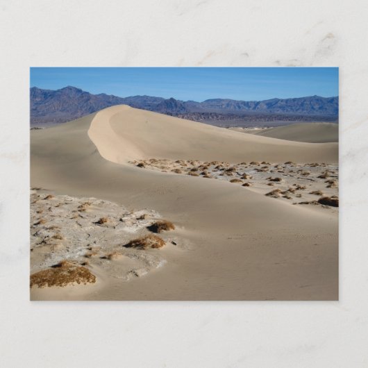 Carte Postale Dunes 1 de Death Valley (Devant)