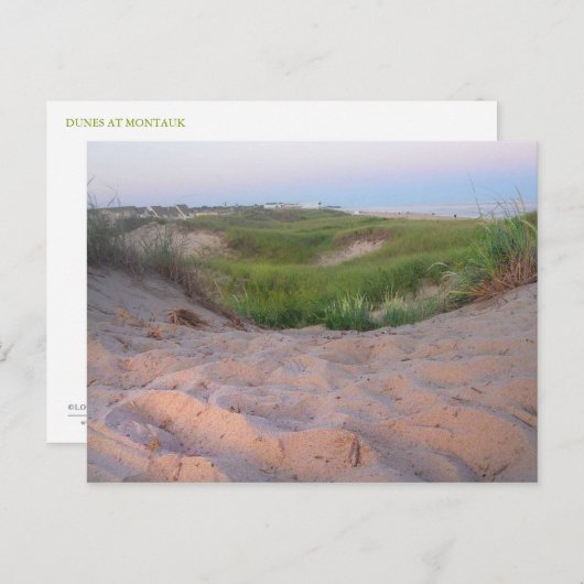 Carte Postale Dunes à Montauk (Devant / Derrière)
