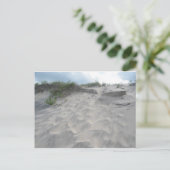 Carte Postale Dunes à Oregon Inlet (Debout devant)