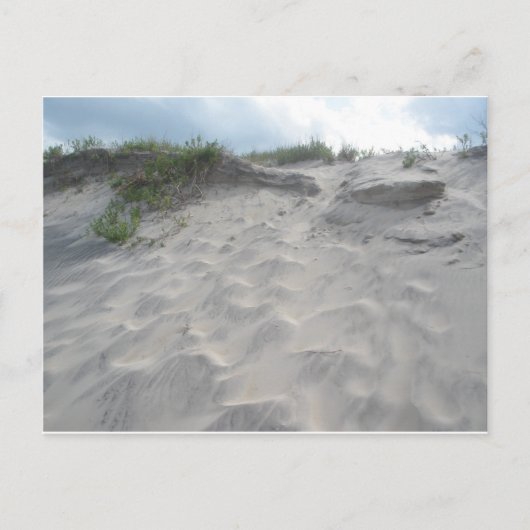 Carte Postale Dunes à Oregon Inlet (Devant)