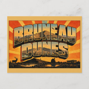 Carte Postale Dunes de Bruneau Idaho Dune de sable Désert Lac Ar
