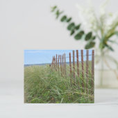 Carte Postale Dunes de Cap Cod (Debout devant)