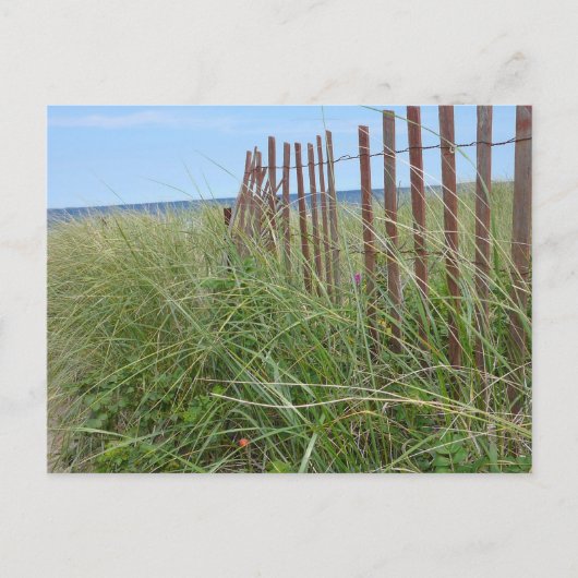 Carte Postale Dunes de Cap Cod (Devant)