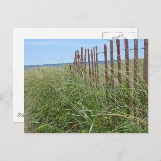 Carte Postale Dunes de Cape Cod (Devant / Derrière)