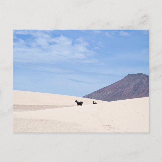 Carte Postale Dunes de Corralejo, Fuerteventura, îles Canaries, (Devant)
