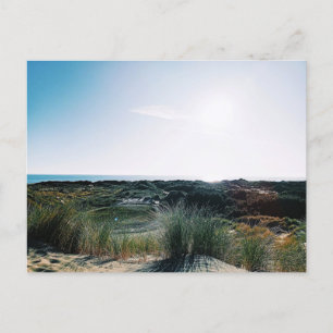 Carte Postale Dunes de Foxton Beach