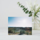 Carte Postale Dunes de Foxton Beach (Debout devant)