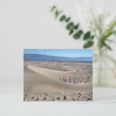 Carte Postale Dunes de la vallée de la Mort 2 (Debout devant)