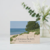 Carte Postale Dunes de l'Indiana (Debout devant)