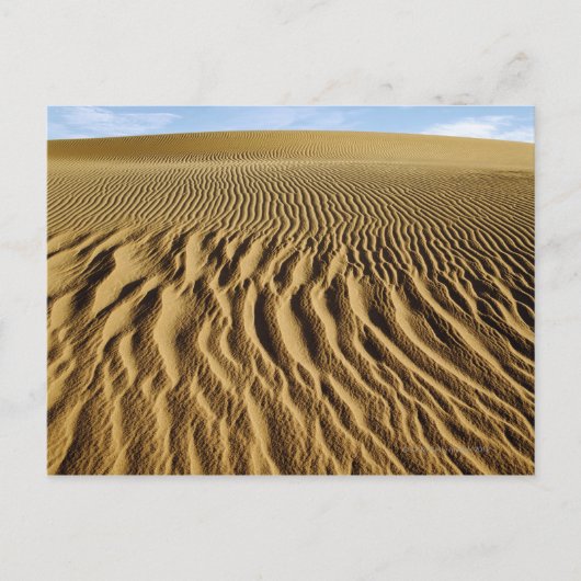 Carte Postale Dunes de Mesquite, parc national de la vallée de l (Devant)