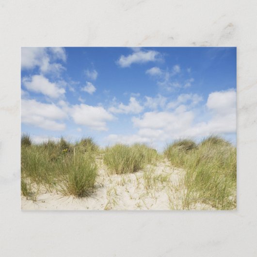 Carte Postale Dunes de sable (Devant)