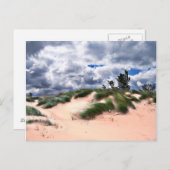 Carte Postale Dunes De Sable balayées par le vent (Devant / Derrière)