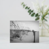 Carte Postale Dunes de sable de Floride (Debout devant)