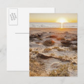 Carte Postale Dunes De Sable De La Plage De Malaquite (Devant / Derrière)