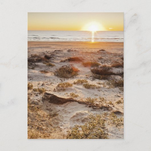 Carte Postale Dunes De Sable De La Plage De Malaquite (Devant)