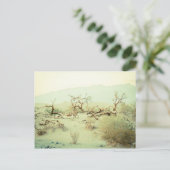 Carte Postale Dunes de sable de la vallée de la Mort (Debout devant)