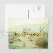 Carte Postale Dunes de sable de la vallée de la Mort (Devant / Derrière)