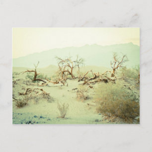 Carte Postale Dunes de sable de la vallée de la Mort