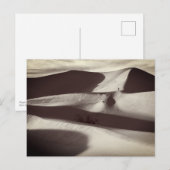 Carte Postale Dunes de sable de Mesquite Vallée de la mort (Devant / Derrière)