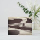 Carte Postale Dunes de sable de Mesquite Vallée de la mort (Debout devant)
