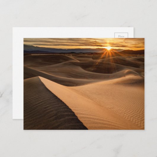 Carte Postale Dunes de sable doré, Death Valley, CA (Devant / Derrière)