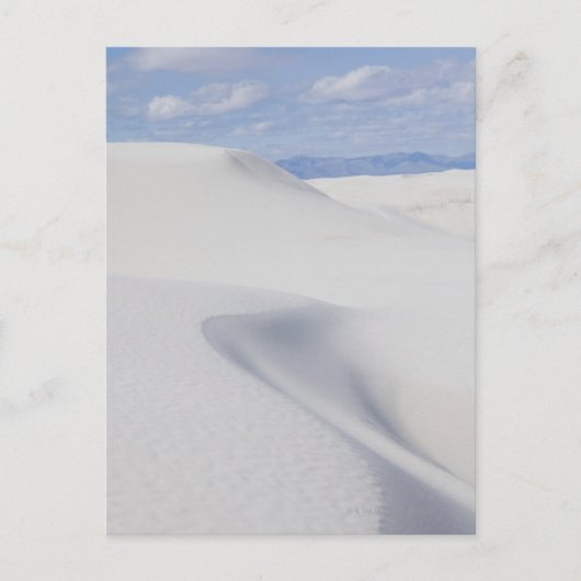 Carte Postale Dunes de sable du désert (Devant)