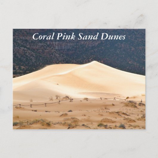 Carte Postale Dunes de sable rose corail (Devant)