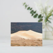 Carte Postale Dunes de sable rose corail (Debout devant)