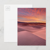Carte Postale Dunes de sable rose, Vallée de la Mort, CA (Devant / Derrière)