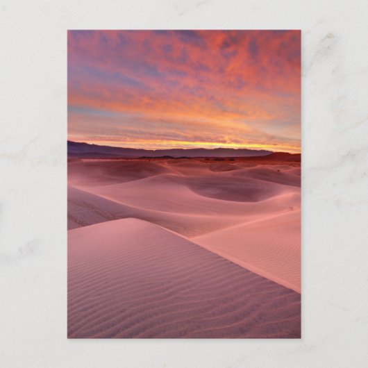 Carte Postale Dunes de sable rose, Vallée de la Mort, CA (Devant)