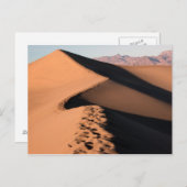 Carte Postale Dunes de sable - Vallée de la mort (Devant / Derrière)